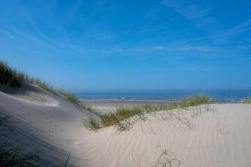 Dunes with beach grass and the sea