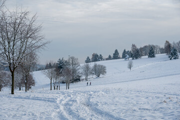 Winter landscape with a lot of snow, some trees and a blue sky
