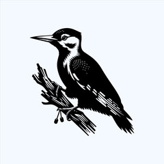 Woodpecker Bird Silhouette Vector Illustration Design