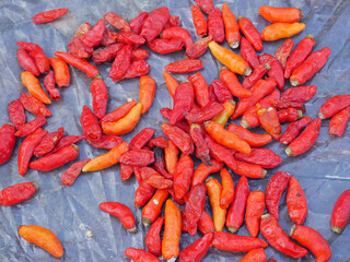 Red chili background on wooden table