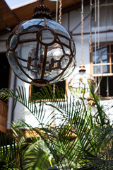 Beautiful glass pendant lights hang from the ceiling in a lush indoor garden