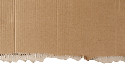 Ripped cardboard scrap isolated on white, clipping path