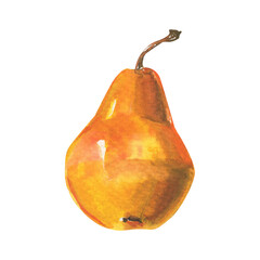 Watercolor juicy yellow pear isolated on white