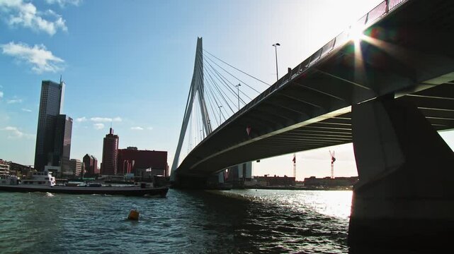 Lower angle Erasmus Bridge, Erasmusbrug, Rotterdam