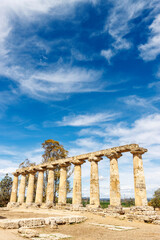 Obraz premium The remains of the 6th-century Temple of Hera, or Tavole Palatine (Palatine Tables) in Mesaponto, Basilicata, South Italy, Europe