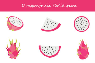 dragonfruit collection in different poses. Vector illustration.