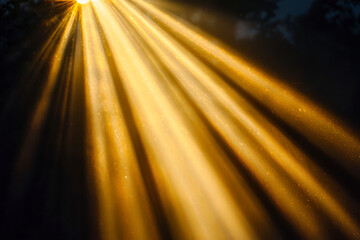 Naklejka premium Sun Light Overlay. Sun rays overlay. Sun rays light isolated on black background, overlay design.