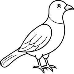 Beautiful bird logo icon line art vector illustration showcasing modern avian flight and wings