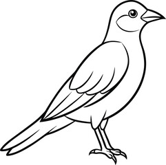 Beautiful bird logo icon line art vector illustration with creative emblem design highlighting nature and wildlife
