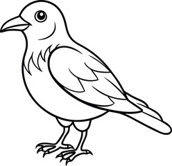 Beautiful bird logo icon line art vector illustration featuring minimalist design with elegant wings and feathers