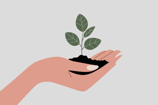 Hand holding a small plant, environment concept.