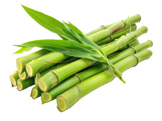 Fototapeta premium Fresh green bamboo stalks with leaves isolated PNG with Transparent Background