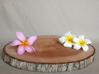 Asian tropical flowers on cut wood trunk