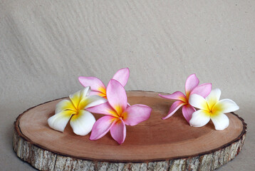 Asian tropical flowers on cut wood trunk