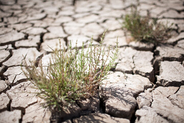 Cracked Soil in Dried Marshland Near Sanlucar De Barrameda, Spain