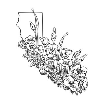 California state flower, California poppy flower lineart vector illustration, fits the California state map frame, cool for stickers, coloring books,&nbsp;t-shirts,&nbsp;etc.