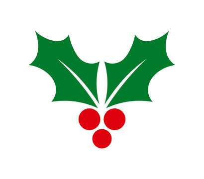 Christmas holly berries symbol. Design element. PNG illustration.