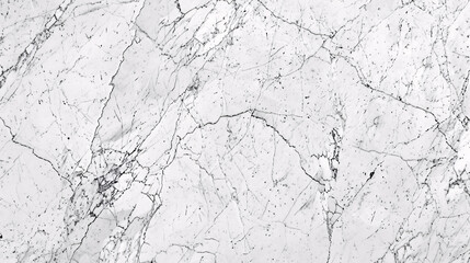 Fototapeta premium High-resolution white Carrara marble stone texture
