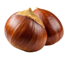 Two whole chestnuts showing their shells and tops