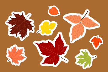 Set isolated bright stickers beautiful  autumn leaves
