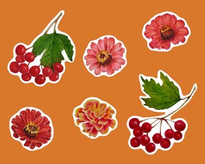 Hand drawn watercolor set stickers autumn branches leaves with berries and flowers 