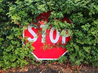 stop sign trough the grass