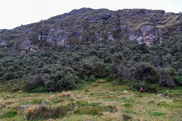Andean landscape, Cayambe volcano