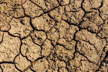 Background of the cracked dry barren soil. Global warming concept