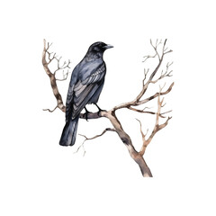 watercolor a crow was perched on a dry branch vector illustration, white background