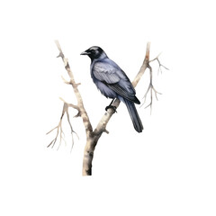 watercolor a crow was perched on a dead tree vector illustration, white background