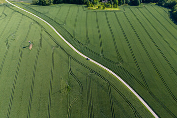 Aerial view of a winding path through lush green fields, showcasing vibrant countryside. Perfect for nature lovers and outdoor enthusiasts. © daily_creativity