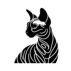 A Cornish Rex black and white cat with a striped face. The cat is looking at the camera. The cat is sitting on a white background