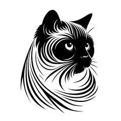 A Colorpoint Shorthair cat with a long, curly tail and a black face. The cat has a look of curiosity and interest