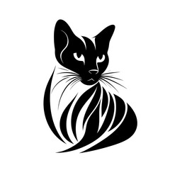 A black cat with a white stripe on its face. The cat is sitting on a white background