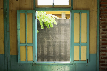 A window with wooden shutters that are half open revealing a view of greenery outside