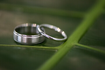 pair of silver wedding rings on a green background