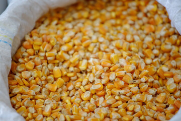 bag full of corn at a production cooperative in Rio de Janeiro.