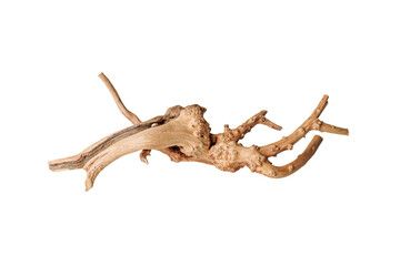 Old dry driftwood tree branch on an isolated white background close-up