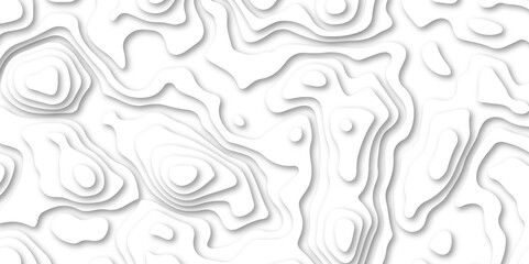 Fototapeta premium abstract Papercut with multi lines. geometric pattern on vector, Abstract soft white background with waves.