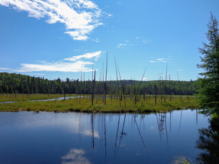 Canadian wilderness lake landscape in Algonquin Provincial Park Ontario