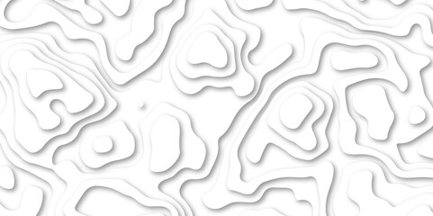 abstract Papercut with multi lines. geometric pattern on vector, Abstract soft white background with waves.