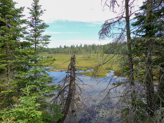 Canadian wilderness lake landscape in Algonquin Provincial Park Ontario