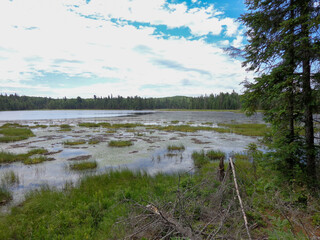Canadian wilderness lake landscape in Algonquin Provincial Park Ontario