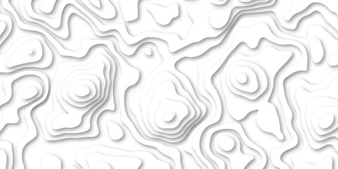 abstract Papercut with multi lines. geometric pattern on vector, Abstract soft white background with waves.