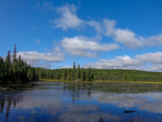Canadian wilderness lake landscape in Algonquin Provincial Park Ontario