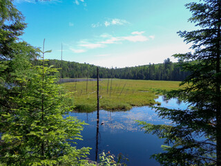 Canadian wilderness lake landscape in Algonquin Provincial Park Ontario