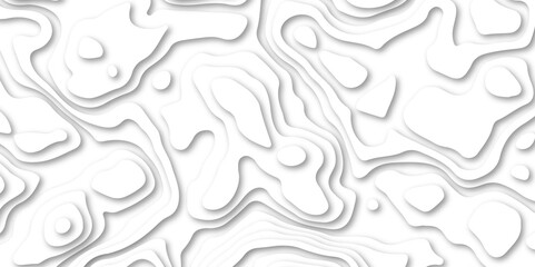 abstract Papercut with multi lines. geometric pattern on vector, Abstract soft white background with waves.