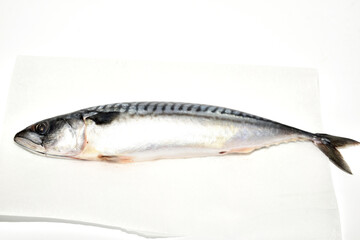 Mackerel fish ready for cooking lies on the table.