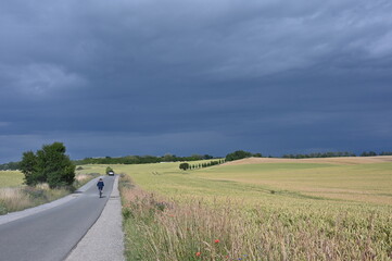 Landstraße durch sommerliche Kornfelder in Mecklenburg unter dunklen Regenwolken