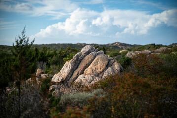 dreamy scenic Landscape with Rocky Outcrops and Lush Vegetation
